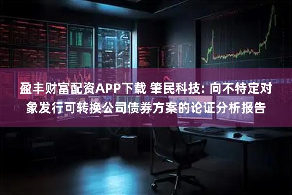 盈丰财富配资APP下载 肇民科技: 向不特定对象发行可转换公司债券方案的论证分析报告